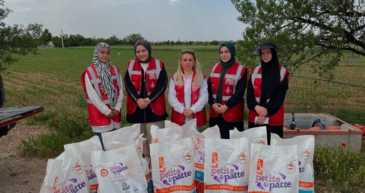 Sahada dayanışma